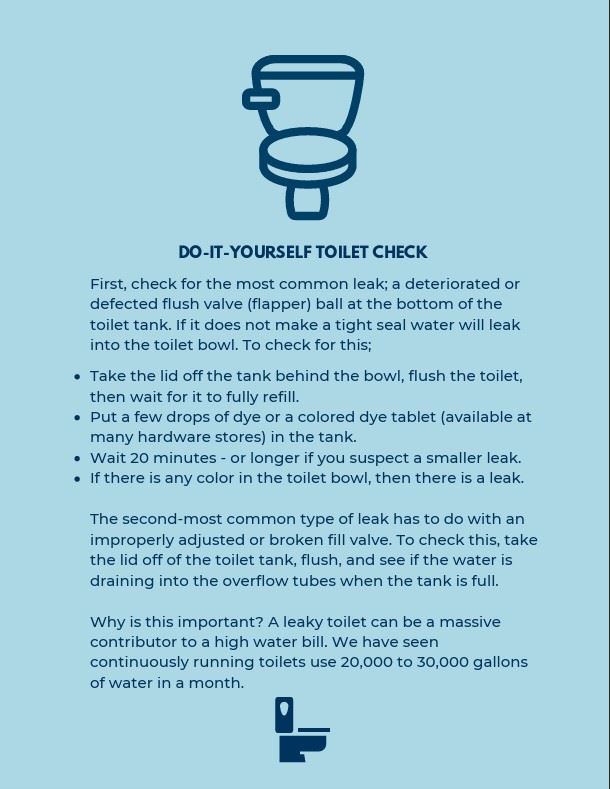 Screenshot 2025-02-03 113347